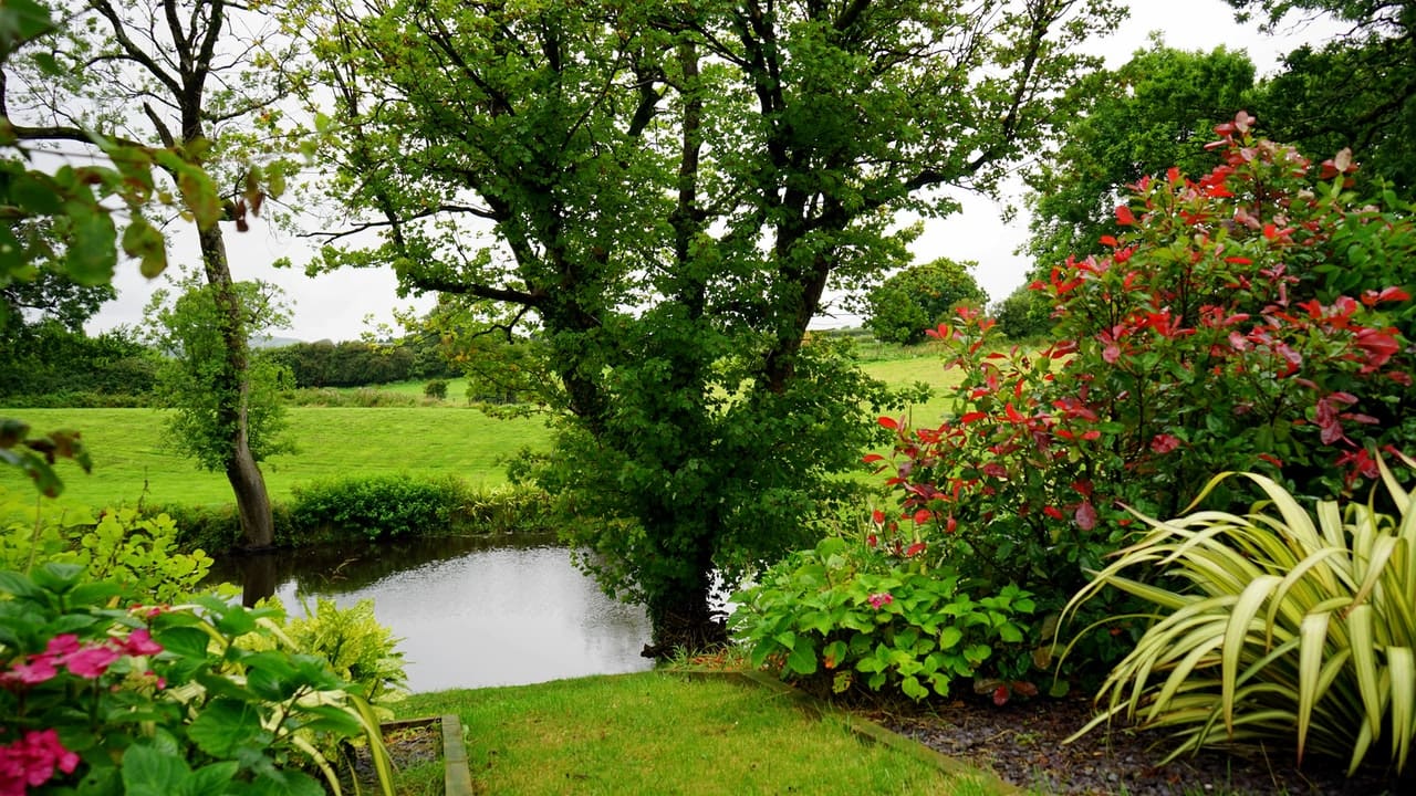 vijver in de tuin vijver in de tuin
