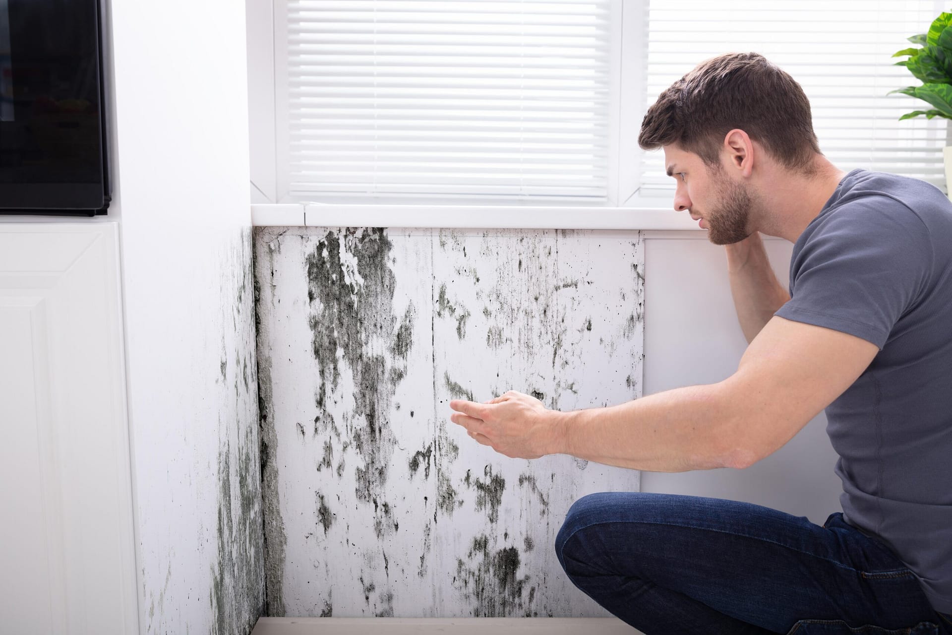 Man Looking At Mold On Wall man looking mold wall scaled