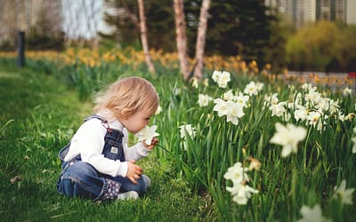 Zo maak je een kindvriendelijke tuin