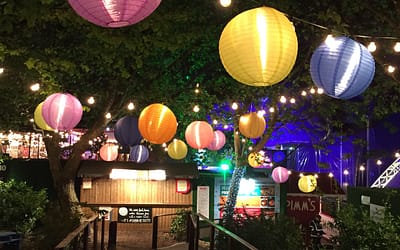 Grondspots in de tuin voor een Luxe uitstraling