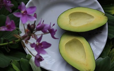 Zelf een avocado kweken? Begin met de pit