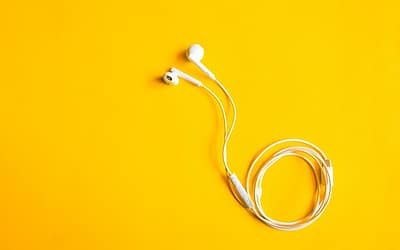 Tuinhout en schuttingen direct uit voorraad bij een houthandel in Beilen