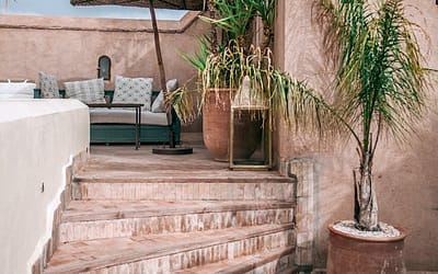 Dakterras inrichten: ideeën & tips voor je dakterras