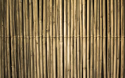 Waarom ook jij over wilt gaan op bamboe meubels