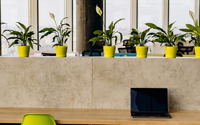 De hangstoel: comfortabel en sfeervol